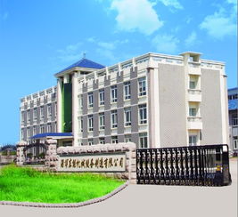 淄博东能煤气工程技术开发 创新驱动，助力能源可持续发展